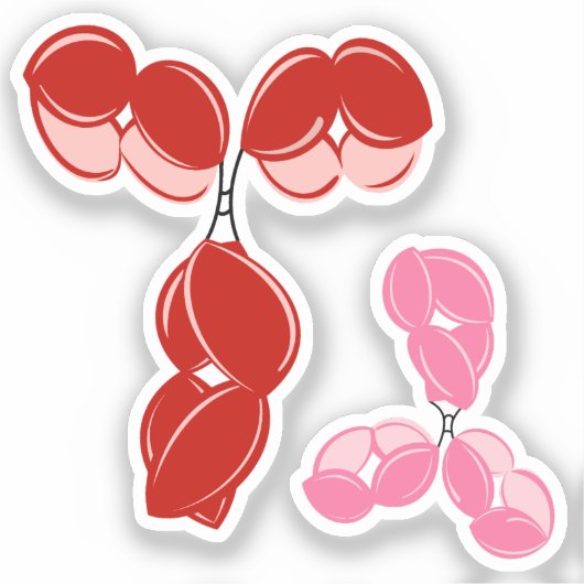 Antilichaam IgG 1 of 4, rood en roze Sticker (Voorkant)