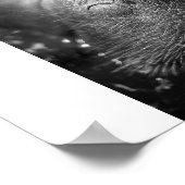 Antilleaanse manatee poster (Hoek)