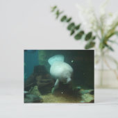 Antillean Manatee Briefkaart (Staand voorkant)