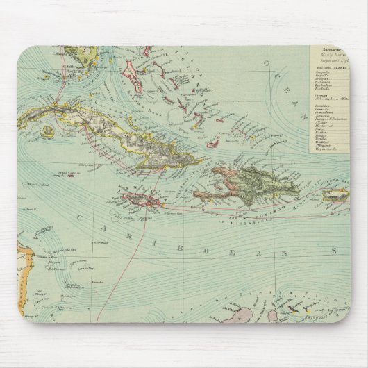 Antillen of West Indies Muismat (Voorkant)