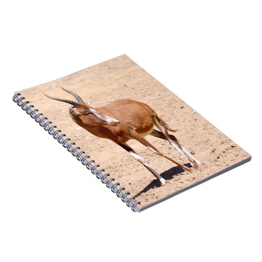 Antilope blesbok notitieboek (Rechterzijde)