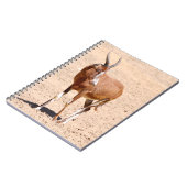 Antilope blesbok notitieboek (Linkerzijde)