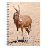 Antilope blesbok notitieboek (Voorkant)