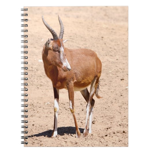 Antilope blesbok notitieboek (Voorkant)