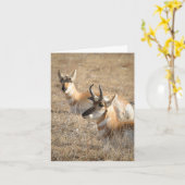Antilope ochtend - bedankkaart kaart (Gele Bloem)