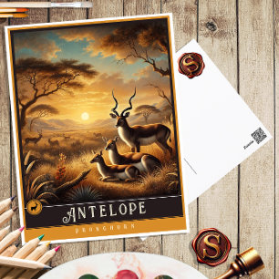antilope   Schattige familie  Briefkaart