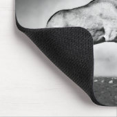 Antilopen die Muismat bestrijden (Hoek)