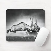 Antilopen die Muismat bestrijden (Met muis)