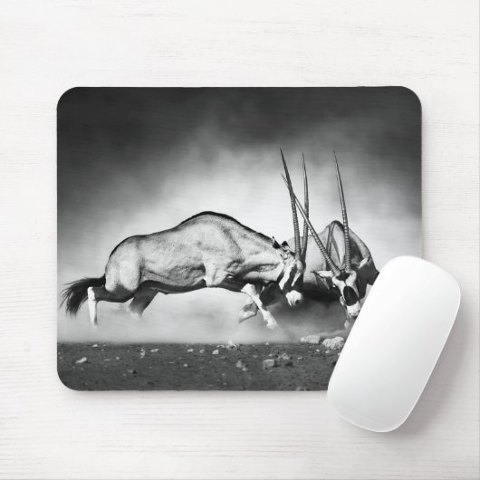 Antilopen die Muismat bestrijden (Met muis)