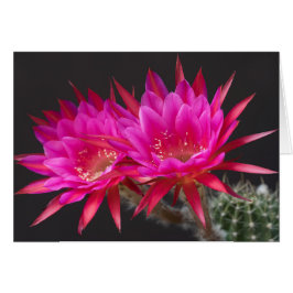 Antimaterie keer twee