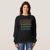 Antimlm Rainbow Retro Pyramid Scheme Boss Trui (Voorkant volledig)