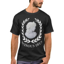 Antinous de God van Rome en Hadrian's Favoriet -