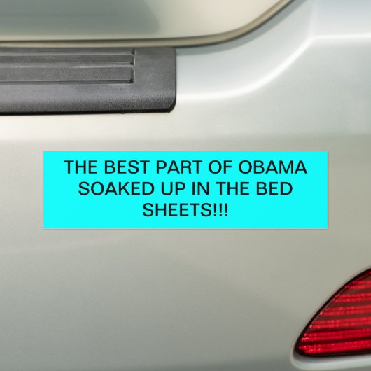 antiobama bumpersticker (Op auto)