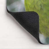 Antipodes Island Parakeet Muismat (Hoek)