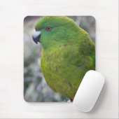 Antipodes Island Parakeet Muismat (Met muis)