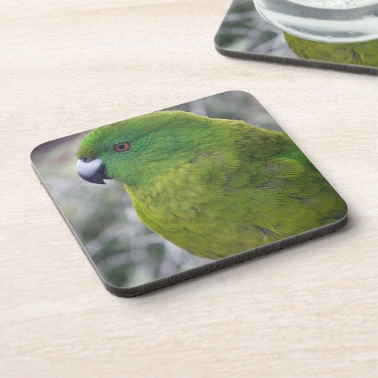 Antipodes Island Parakeet Onderzetter (Linkerzijde)