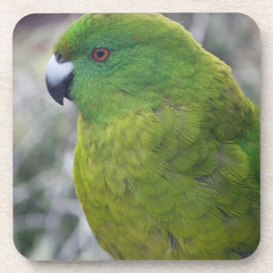 Antipodes Island Parakeet Onderzetter