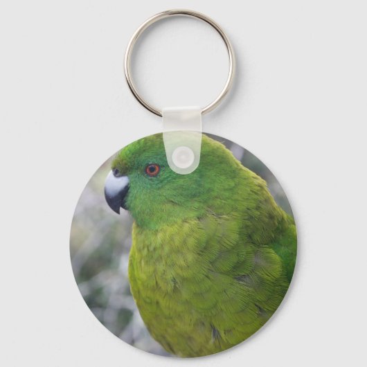 Antipodes Island Parakeet Sleutelhanger (Voorkant)