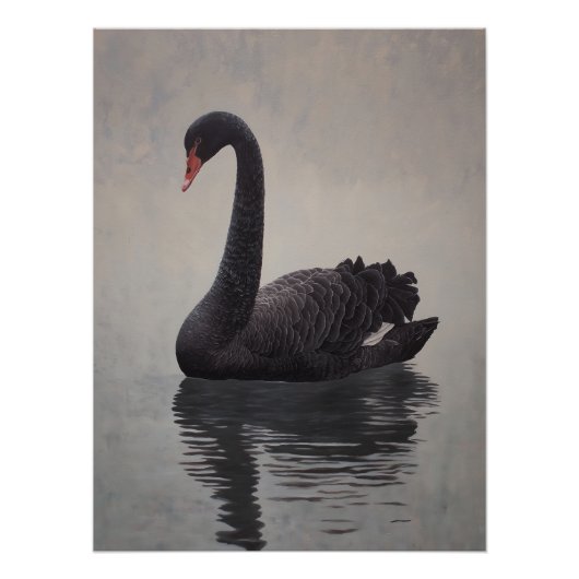 Antique Black Swan Art Print Perfect Poster (Voorkant)