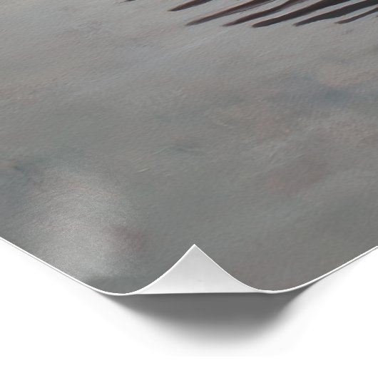 Antique Black Swan Art Print Perfect Poster (Hoek)