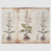 Antique Botanical Herbs Decoupage Tissuepapier (Voorkant)