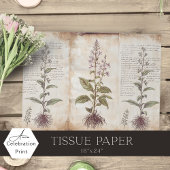 Antique Botanical Herbs Decoupage Tissuepapier