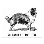 Antique Collie Hond Tekening Naam Rubberstempel (Afrduk)