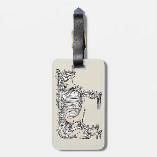 Antique Cow Skeleton Bones Fun Bagagelabel (Achterkant verticaal)