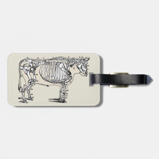 Antique Cow Skeleton Bones Fun Bagagelabel (Achterkant horizontaal)