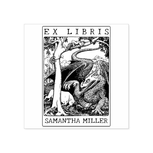 Antique Draak Aangepaste Ex Libris Bibliotheekboek Rubberstempel (Afrduk)