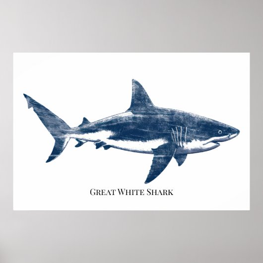 Antique  drawing of a shark poster (Voorkant)