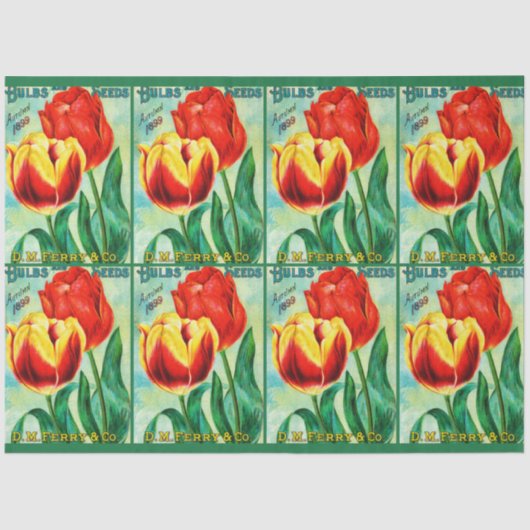 Antique Garden Advertisement, Yellow Red Tulips Tissuepapier (Voorkant)