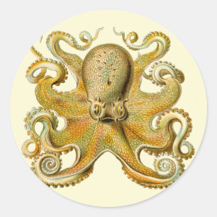 Antique illustratie van octopus zeemonster ronde sticker