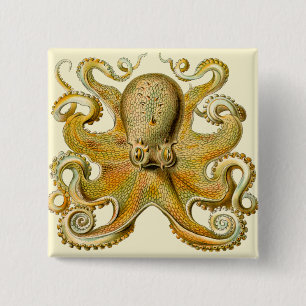 Antique illustratie van octopus zeemonster vierkante button 5,1 cm