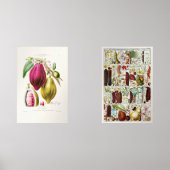 antique　plant　unique muurkunst sets (Voorkant)