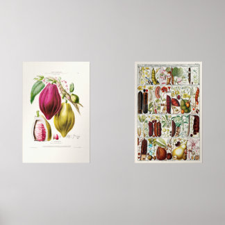 antique　plant　unique muurkunst sets