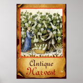 ANTIQUE POMPOEN OOGST PARCHMENT POSTER (Voorkant)