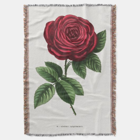 Antique Rose Lithograph, François-Frédéric Grobon Deken (Voorkant Verticaal)