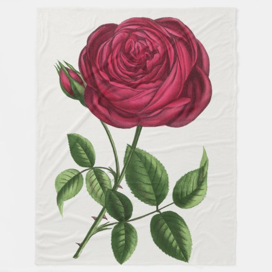 Antique Rose Lithograph, François-Frédéric Grobon Fleece Deken (Voorkant)