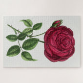 Antique Rose Lithograph, François-Frédéric Grobon Legpuzzel (Horizontaal)