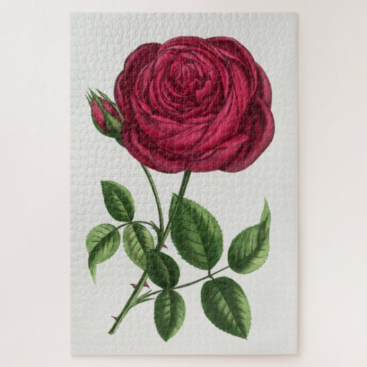 Antique Rose Lithograph, François-Frédéric Grobon Legpuzzel (Verticaal)