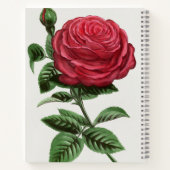 Antique Rose Lithograph, François-Frédéric Grobon Notitieboek (Achterkant)