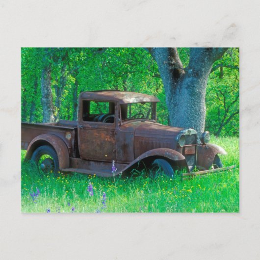 Antique rusted truck in a meadow briefkaart (Voorkant)