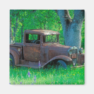 Antique rusted truck in a meadow magneet