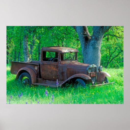 Antique rusted truck in a meadow poster (Voorkant)