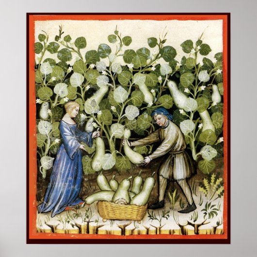 ANTIQUE SQUASH OOGST POSTER (Voorkant)