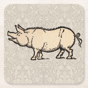 Antique Varken Illustratie Cute Vintage Kartonnen Onderzetters