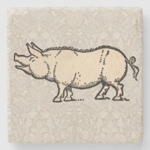 Antique Varken Illustratie Cute Vintage Stenen Onderzetter
