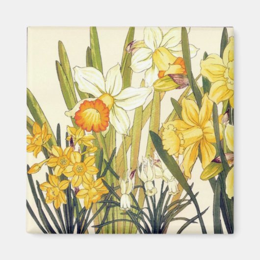 Antique Wood Block Print Daffodils Magnet (Voorkant)