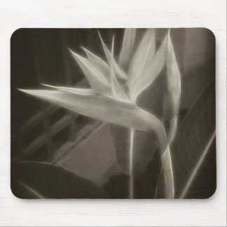 Antiqued Bird of Paradise 10 Muismat